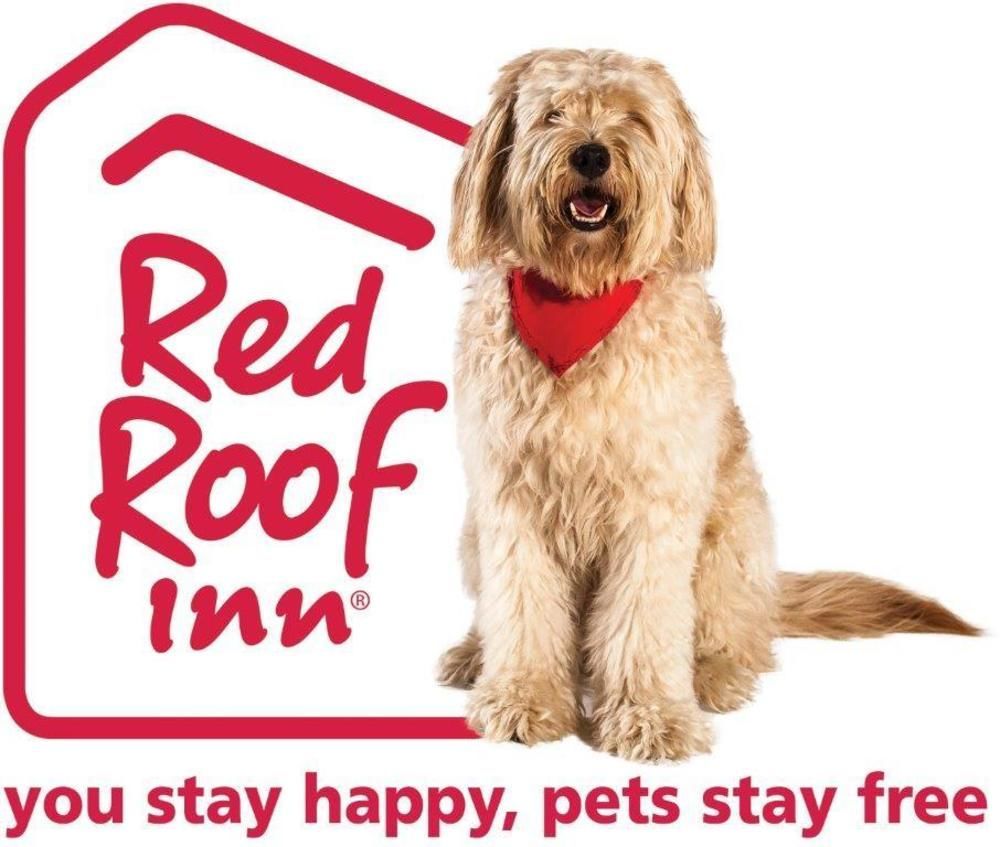 Red Roof Inn Plus+ Austin South Esterno foto